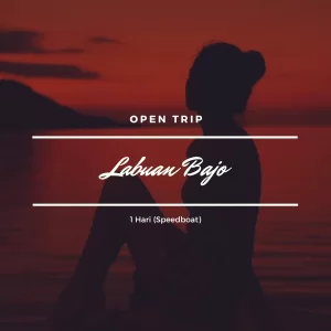 Open Trip Labuan Bajo 1 Day (Speedboat) - eXplores.id